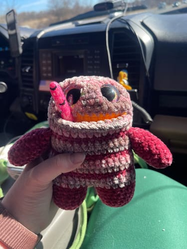 Customer photo review of CloudVelvet™ Premium Chenille Yarn (100g)  Super Bulky (6mm) for Amigurumi, Blankets & Slippers Class A Baby Safe