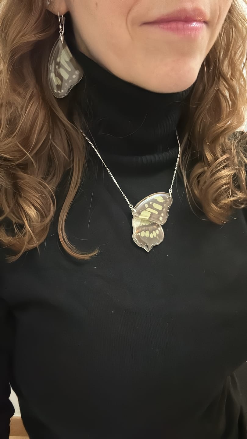 Customer photo review of Pendientes Mariposa Siproeta Stelenes largos