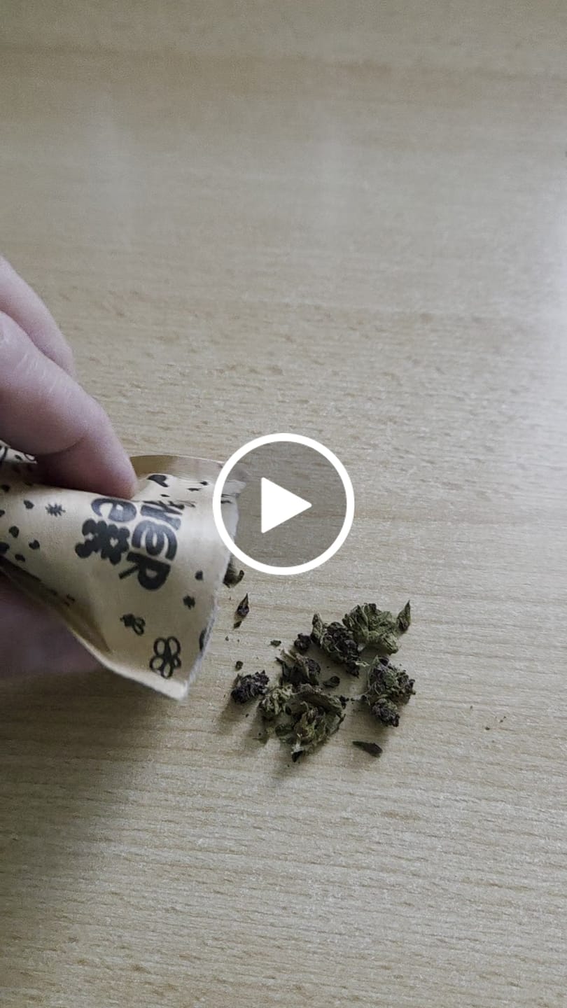 Customer video review of 🧞Purple Kinky Kush – Power Level 5/5