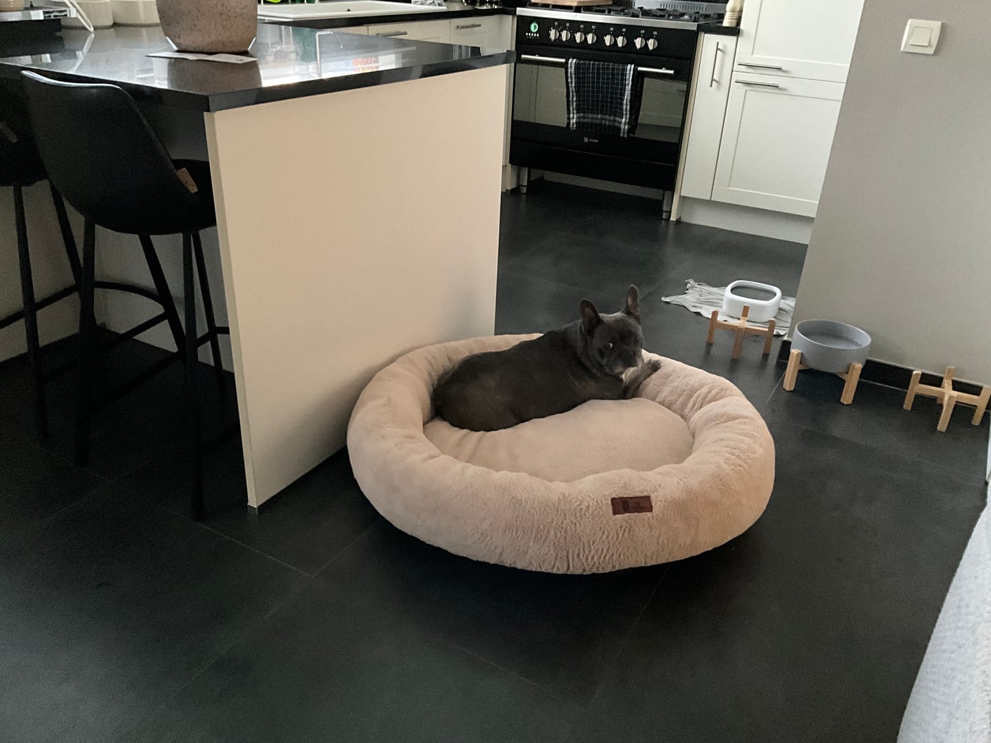 Customer photo review of Pet Perfect Hondenkam - Ondervacht