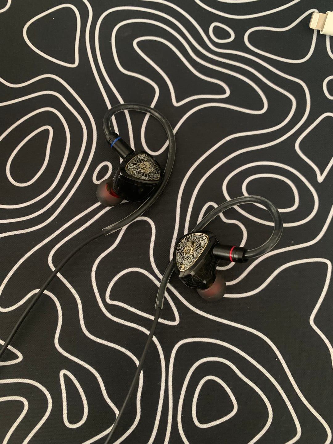 Customer photo review of TANGZU Wan'er S.G II IEM Kulaklık