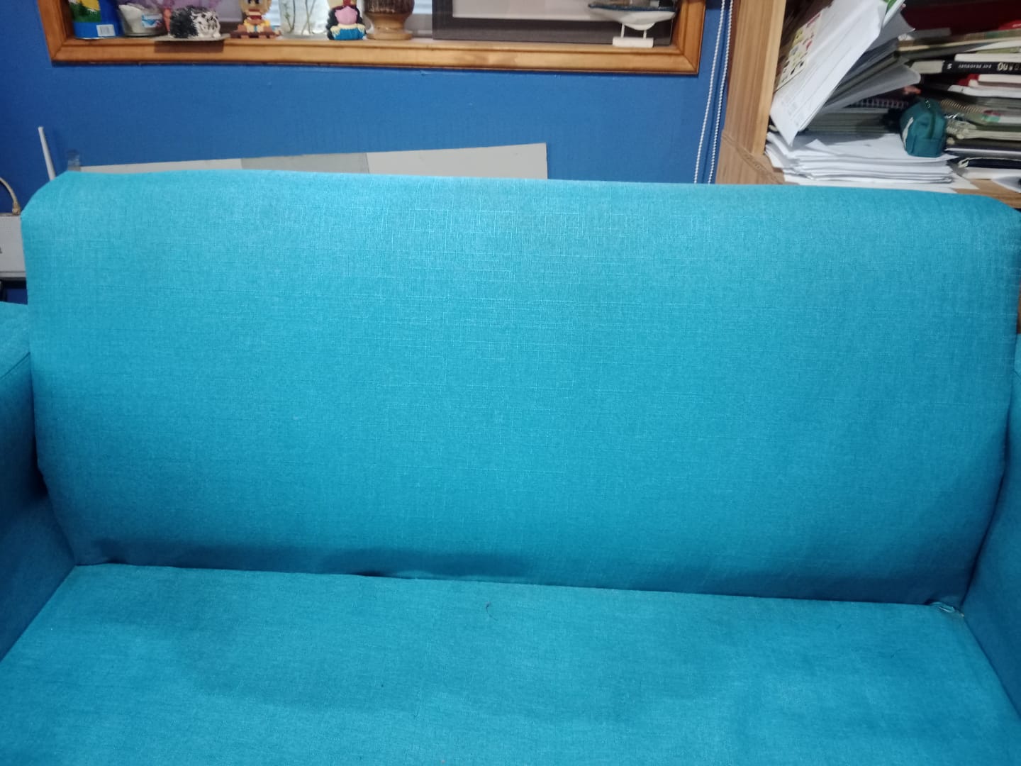 Customer photo review of Textil Cleaner 500 ml