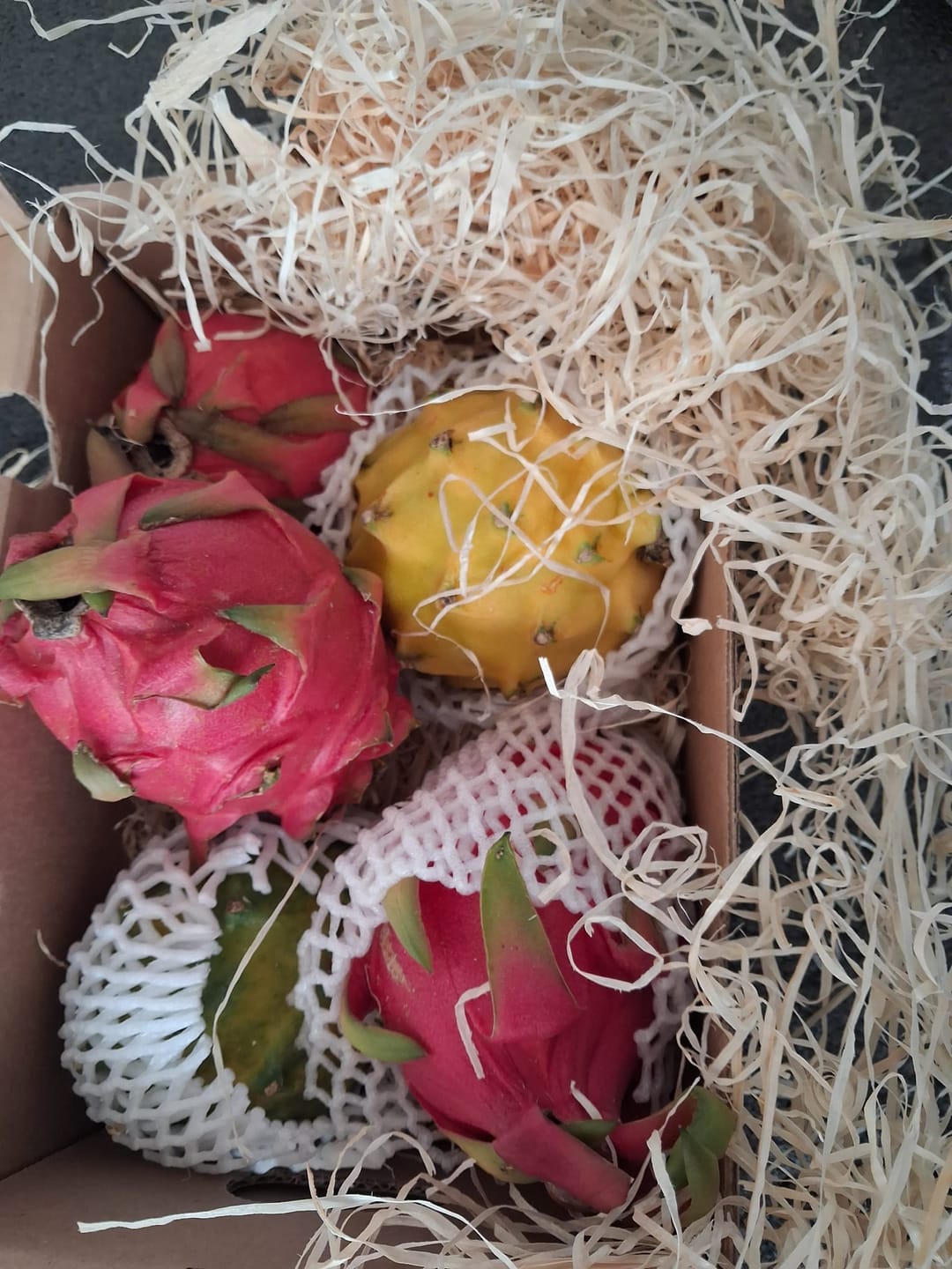 Customer photo review of Drachenfrüchte Trio Box Sonderaktion %