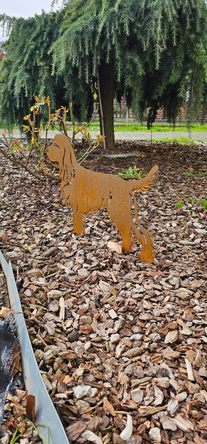 Customer photo review of Gartenstecker Cocker Spaniel