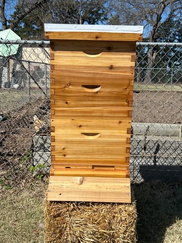 Customer photo review of MayBee 10 Frame Screened Bottom Board Beehive Dipped in 100% Beeswax, Bee Hives Kit Includes 2 Deep Boxes & 1 Medium Box with Beehive Frames and Heavy Wax Coated Foundations.Preferred for Summer.