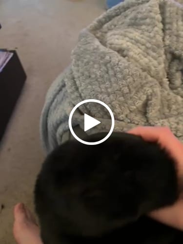 Customer video review of SILKIE BLACK