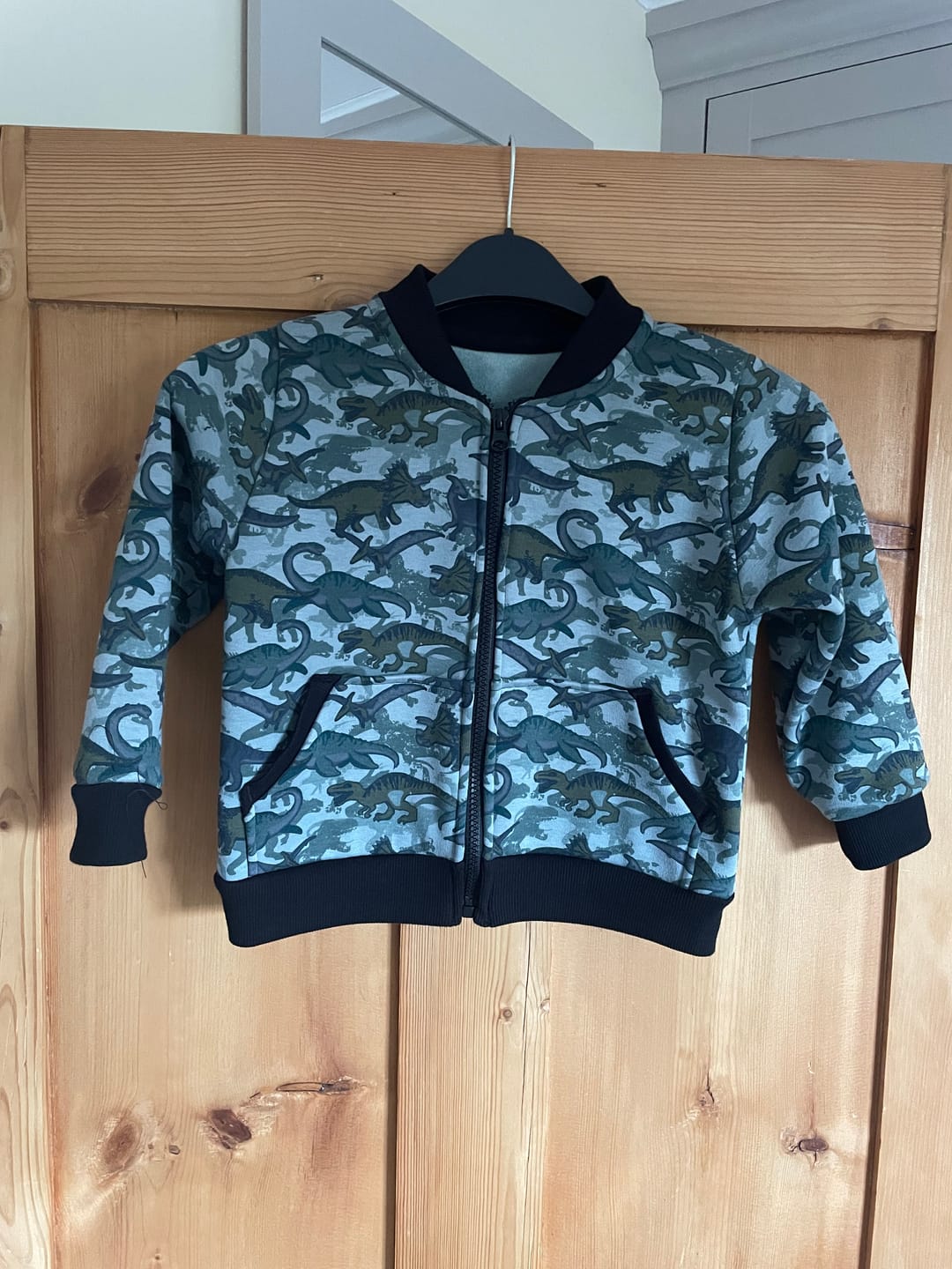 Customer photo review of Dinosaurs Sweatshirt Fabric