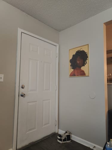 Customer photo review of Curls Orange