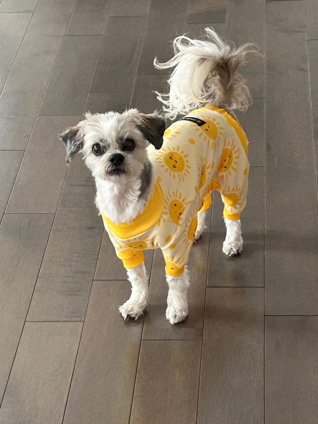 Customer photo review of Dog Pajama - Avocado