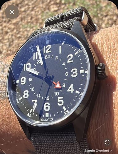 Customer photo review of Overlord (VIP)