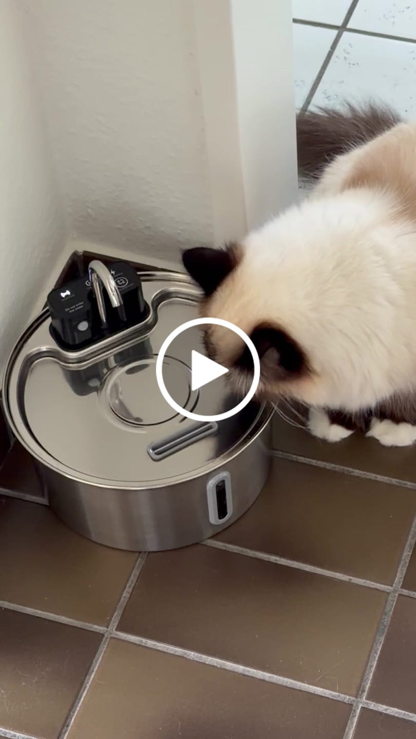 Customer video review of NordFlow 2.0 Katzenbrunnen
