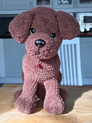 Customer photo review of Alize Velluto