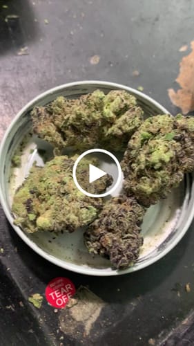 Customer video review of Indoor Exotics - Hashburger - 14 Grams - Indica