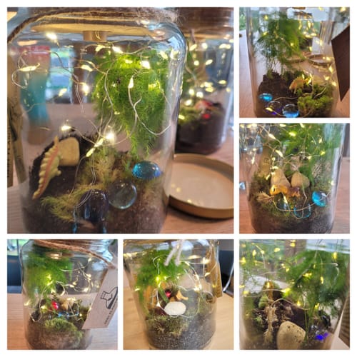 Rezensent zeigt eine Collage von fertigen Flaschengärten aus dem Set, die mit Lichterketten und Figuren dekoriert sind.