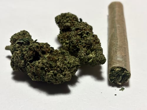 Customer photo review of Cheap THCA Flower Ounce