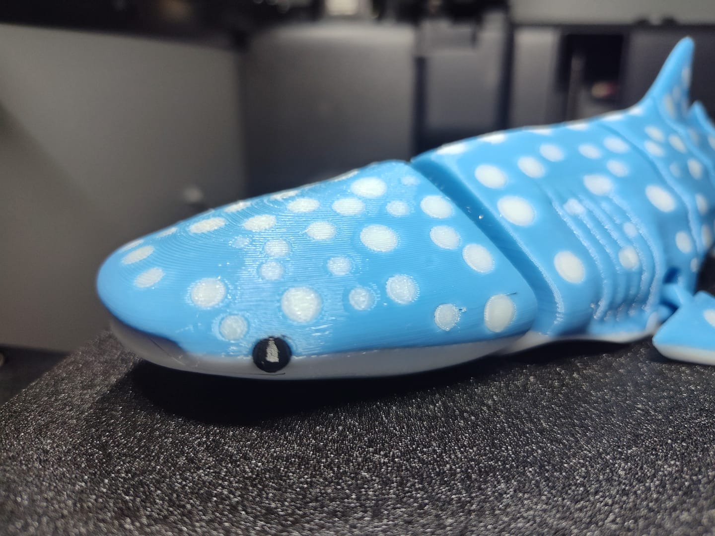 Customer photo review of Light Blue Limited Edition PETG Filament 1.75mm