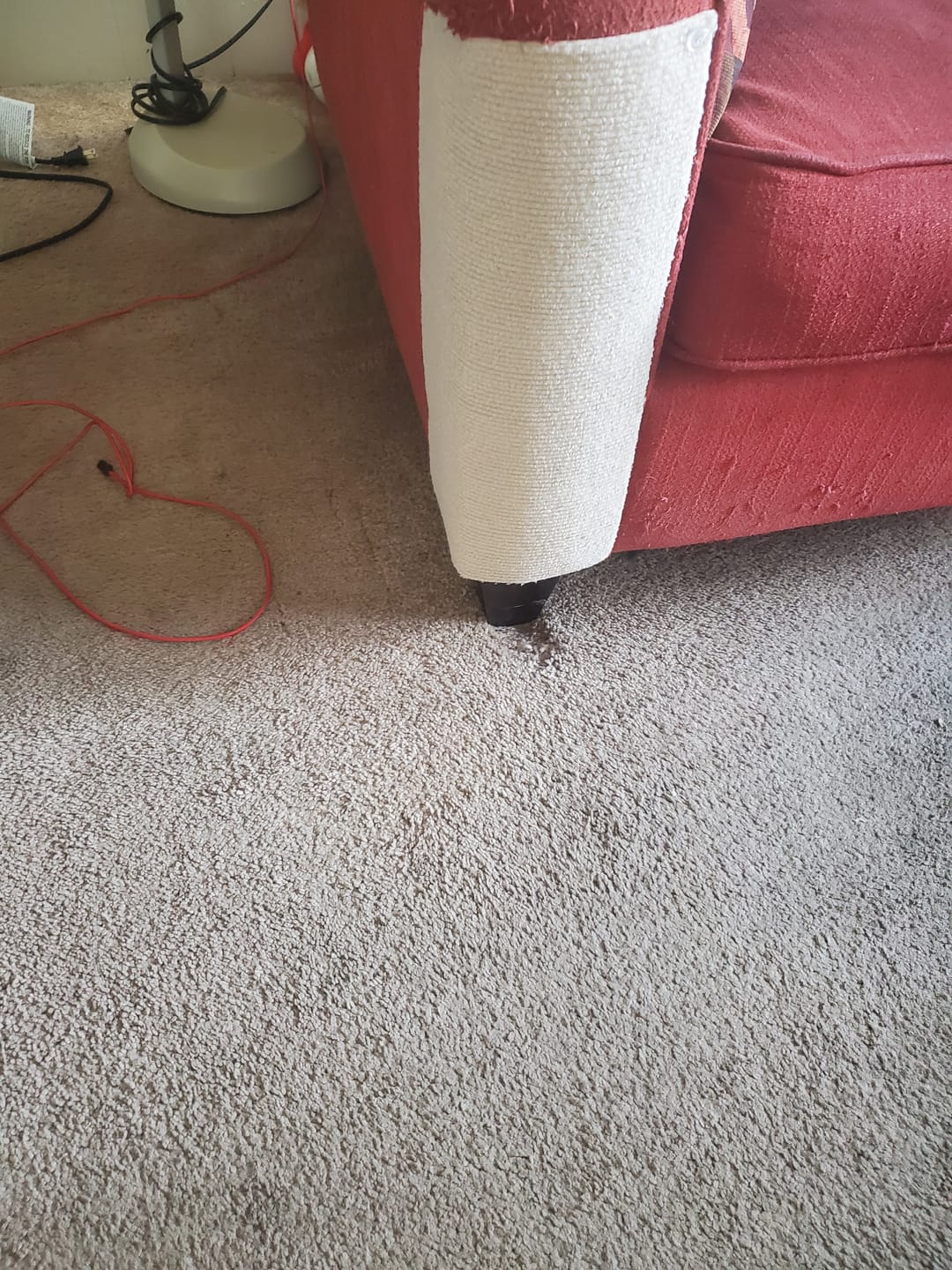 Customer photo review of Multifunctional Cat Scratching Carpet