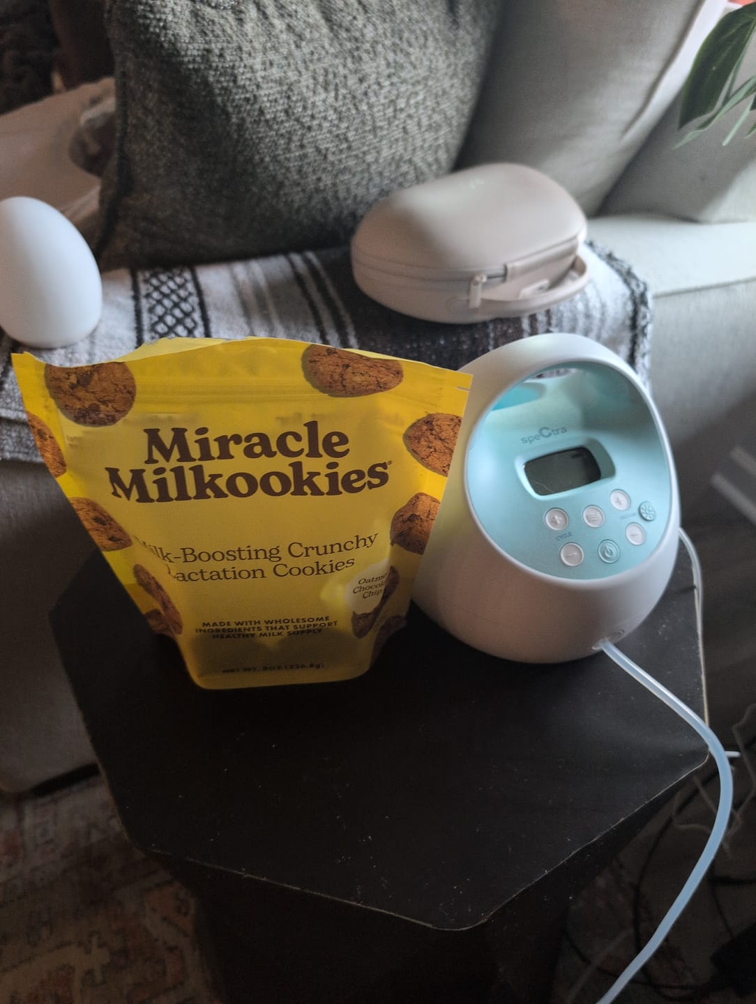 Customer photo review of Mini Crunchy Oatmeal Chocolate Chip Lactation Cookies
