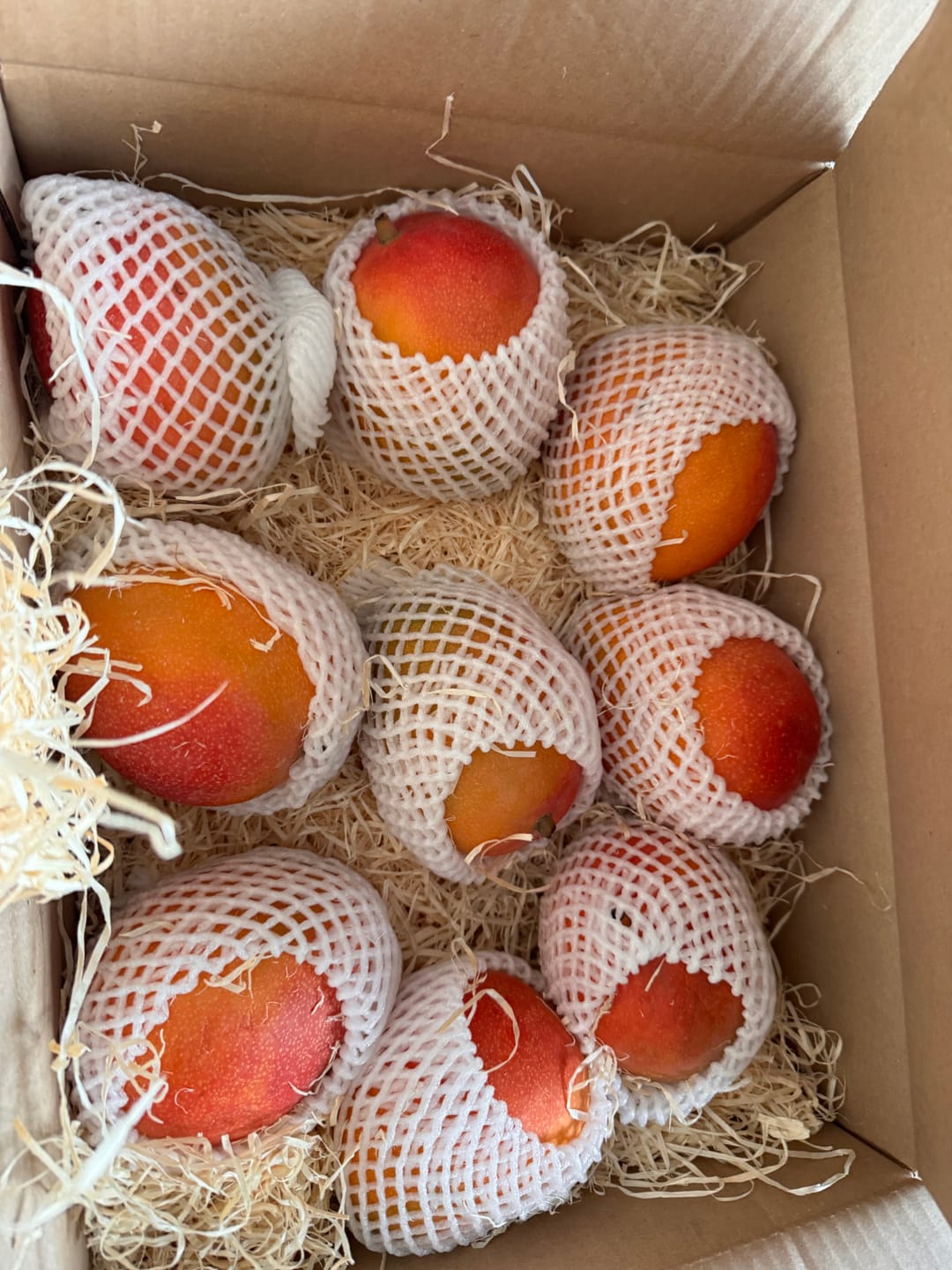 Customer photo review of Mango Kent Premium Bio von Karina baumgereift