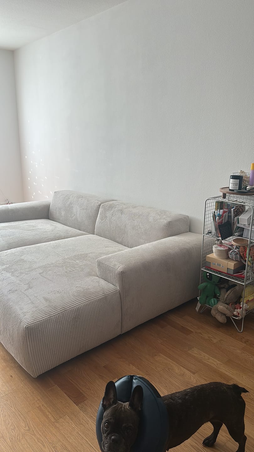 Customer photo review of Bigsofa Petite