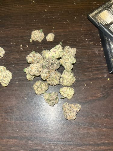 Customer photo review of Bulk Discount Indoor Flower