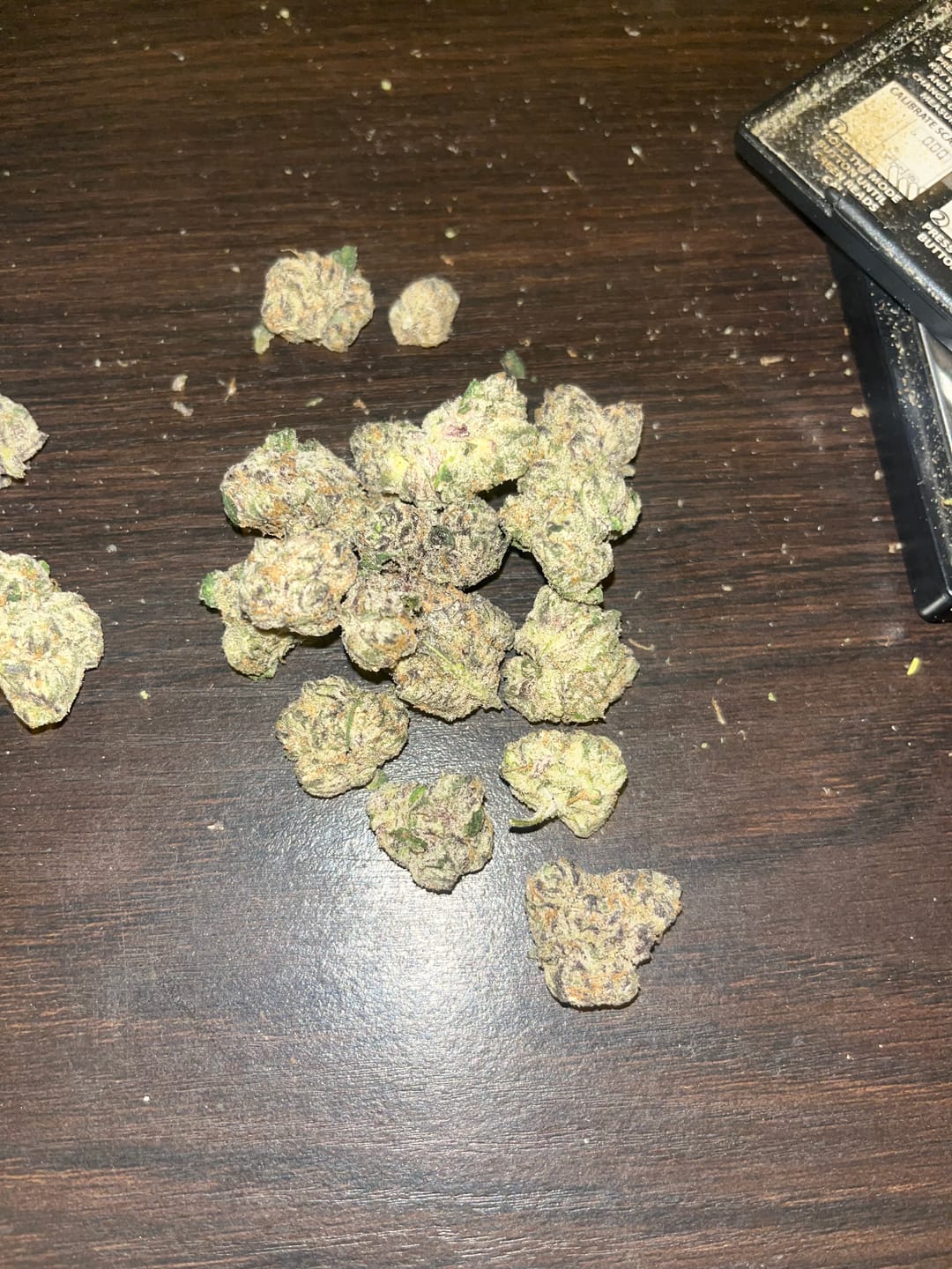 Customer photo review of Bulk Discount Indoor Flower