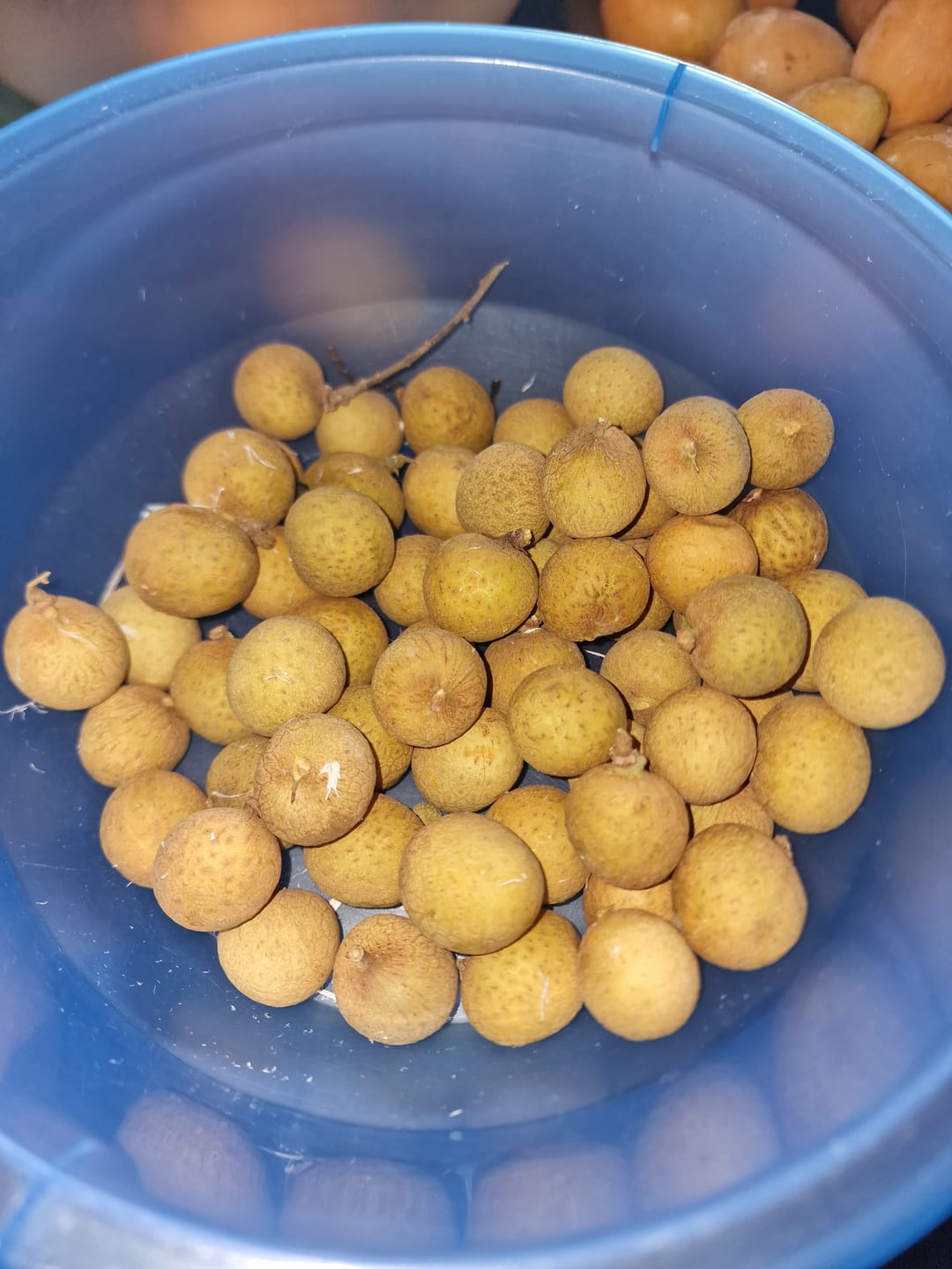 Customer photo review of Longan naturbelassen