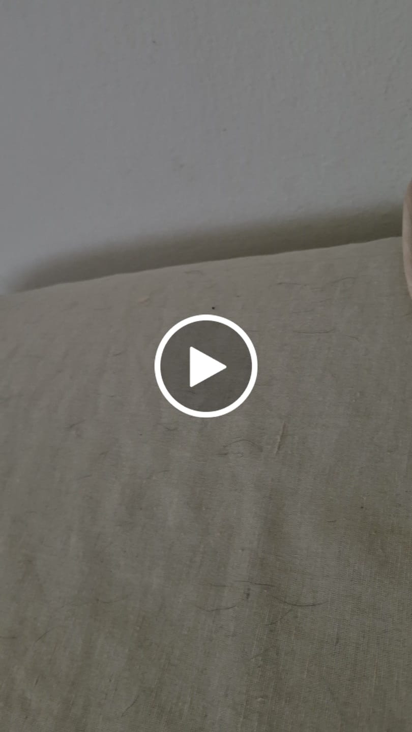 Customer video review of Piada Proteica