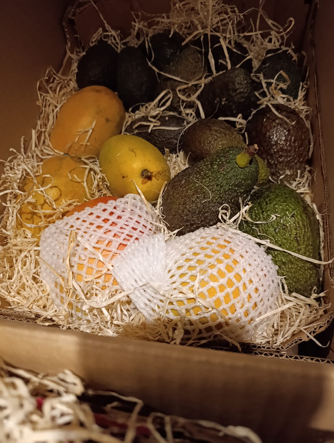 Customer photo review of Mango-Avocado Bio Box Aktionspreis % 4kg