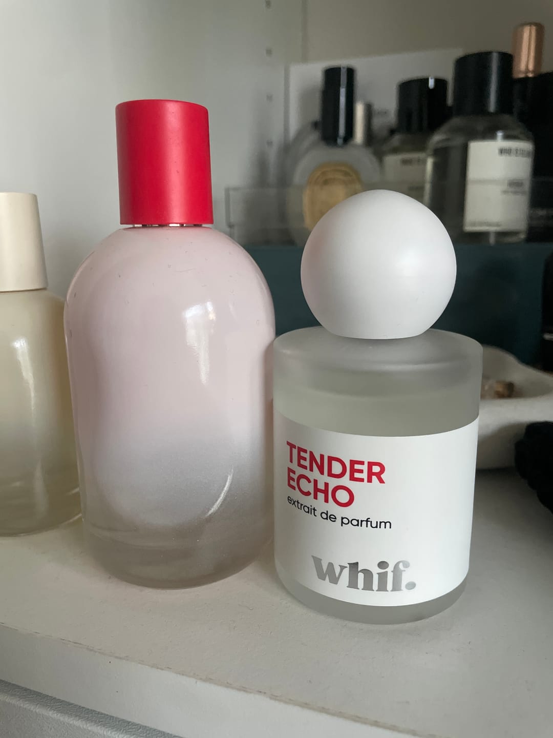 Customer photo review of Tender Echo