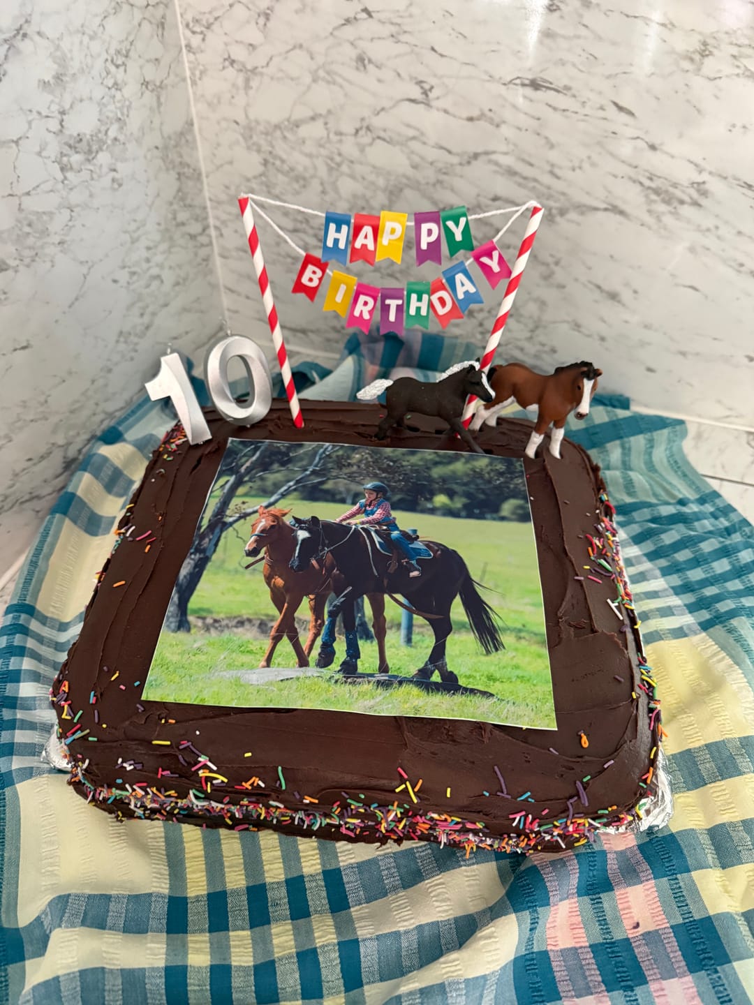 Customer photo review of 19 cm x 19 cm Square Pre-cut Custom Edible Icing Image