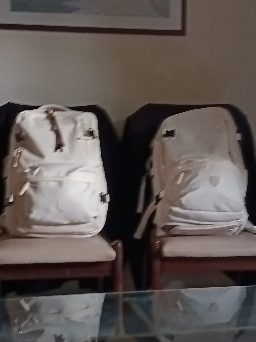 Customer photo review of Royal Travel Backpack