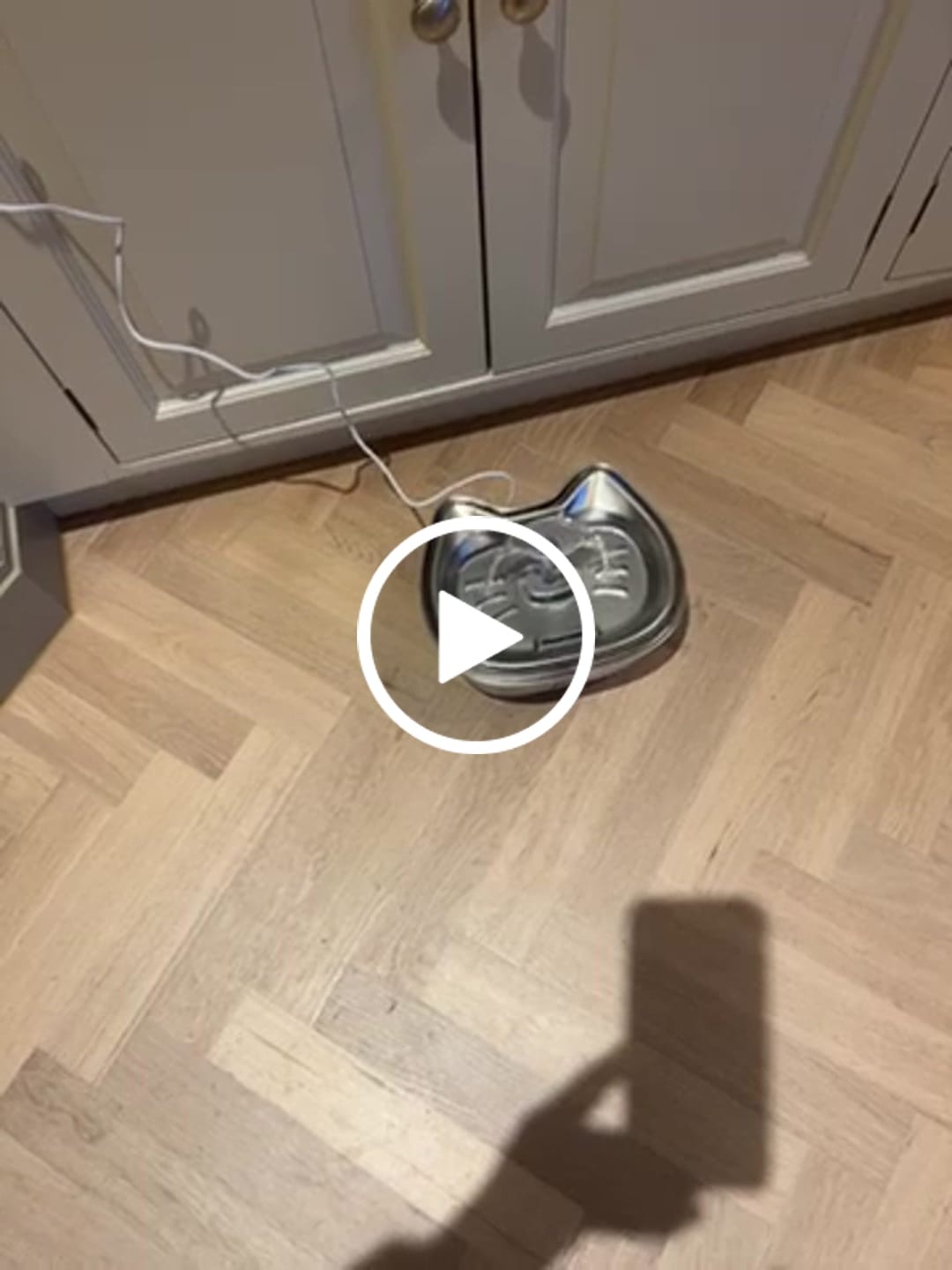 Customer video review of Stainless Steel Cat Water Fountain