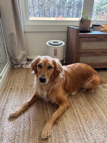 Customer photo review of Pet Air Purifier