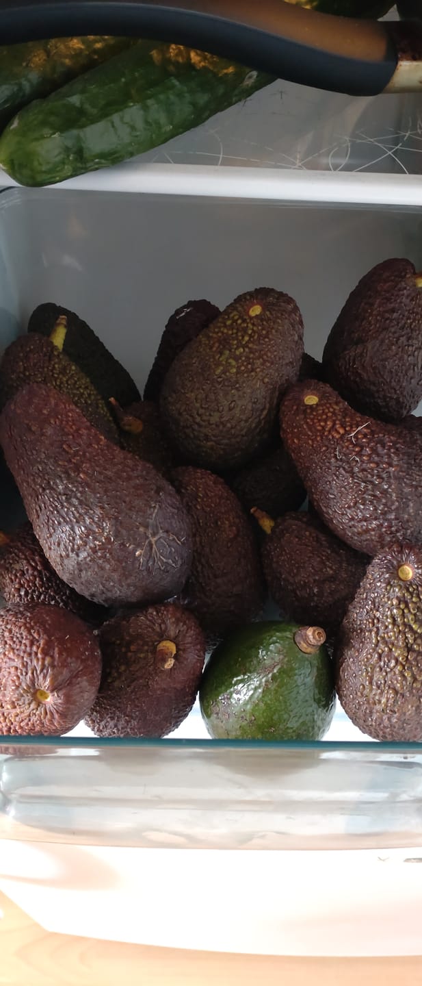 Customer photo review of Avocado Hass Bio von Julian 3kg Box Aktionspreis %