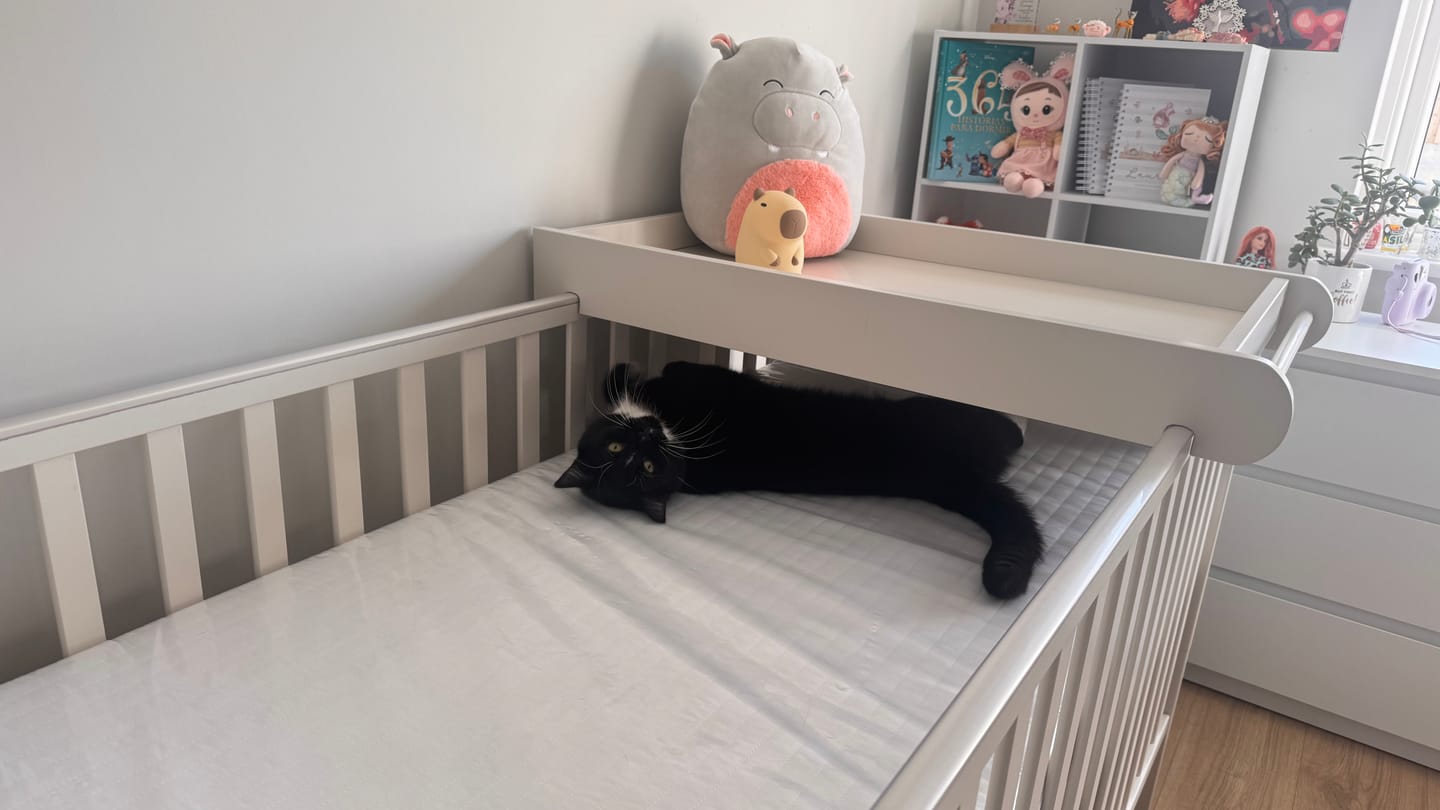 Customer photo review of MeWaii® Capybara Squishy Night Light - Perfect Gift 🎁