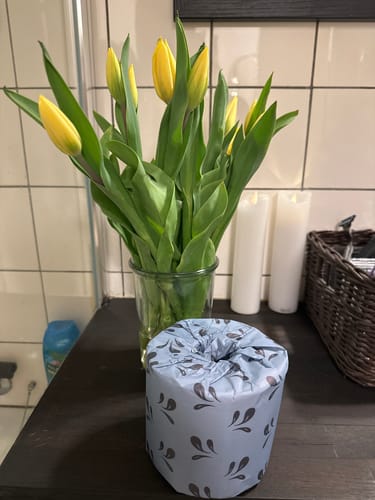 Customer photo review of 100% Bamboo Toilet Paper - 3ply -  40 meters