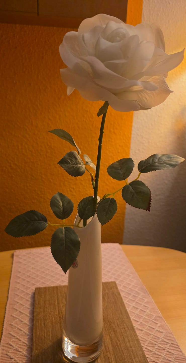 Customer photo review of Kunstblume Rose