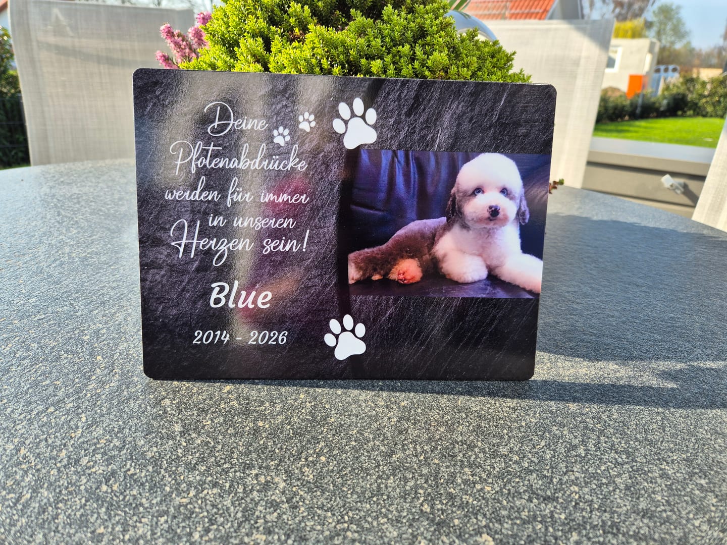 Customer photo review of Hunde Gedenktafel mit Foto & Spruch (UV- & Wetterfest)