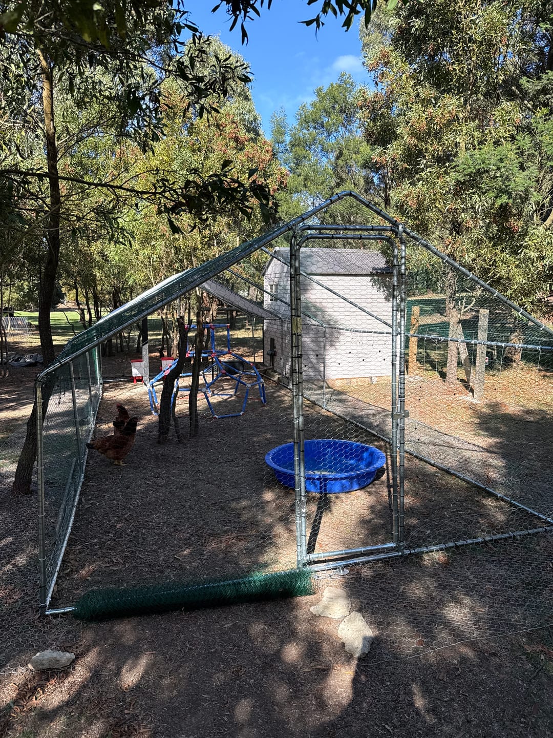 Customer photo review of Extra Large Chicken Coop Galvanised Steel 8m x 3m