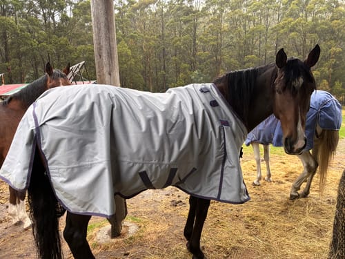 Customer photo review of LE Boxter Turnout Ripstop 50g