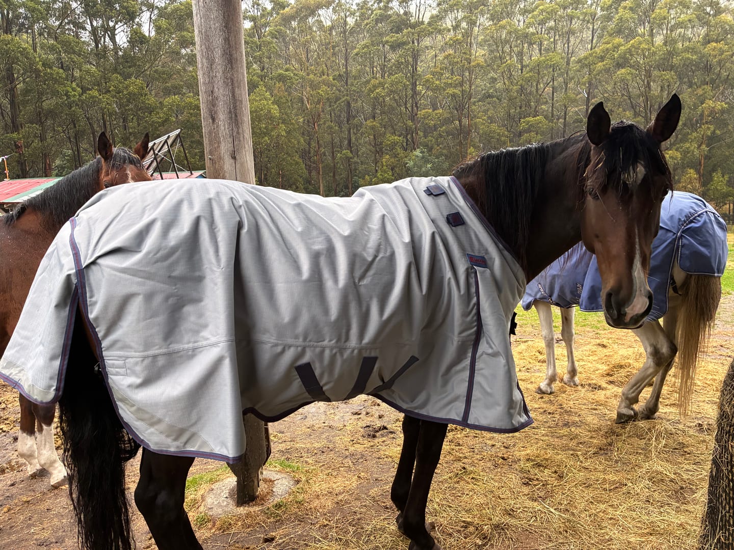 Customer photo review of LE Boxter Turnout Ripstop 50g