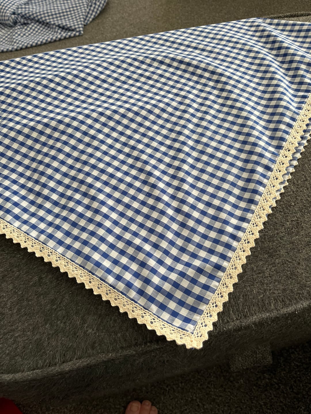 Customer photo review of 1/4 inch Gingham Polycotton Fabric