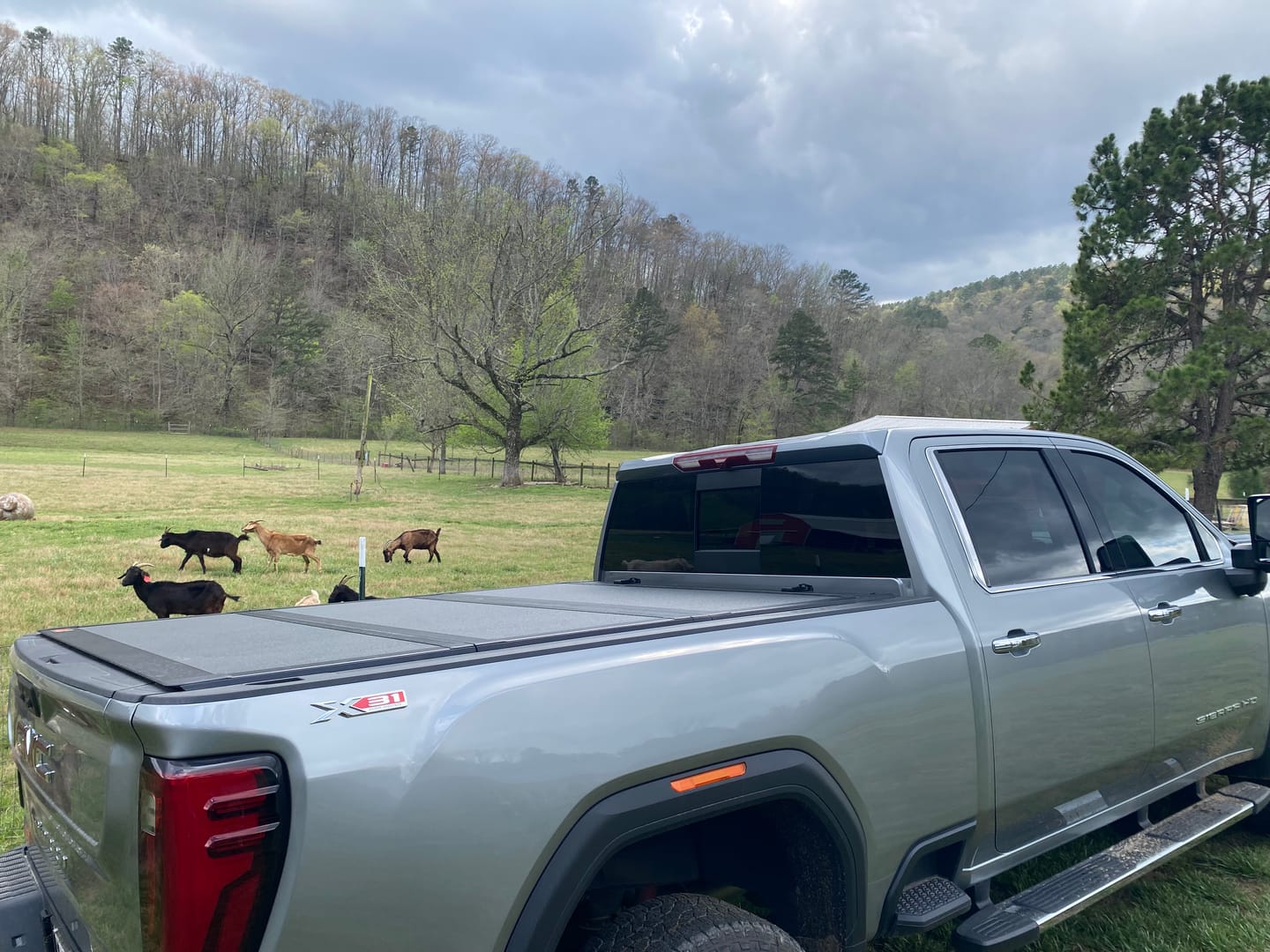 Customer photo review of Rough Country 49120651 Hard Tri-Fold Flip Up Bed Cover | 6'9" Bed | Chevy/GMC  Silverado/Sierra 2500HD/3500HD (20-26)