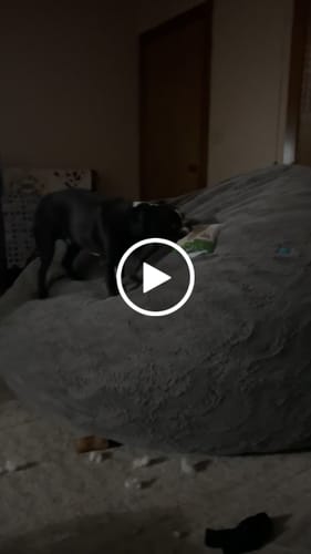 Customer video review of Jerky Toppers