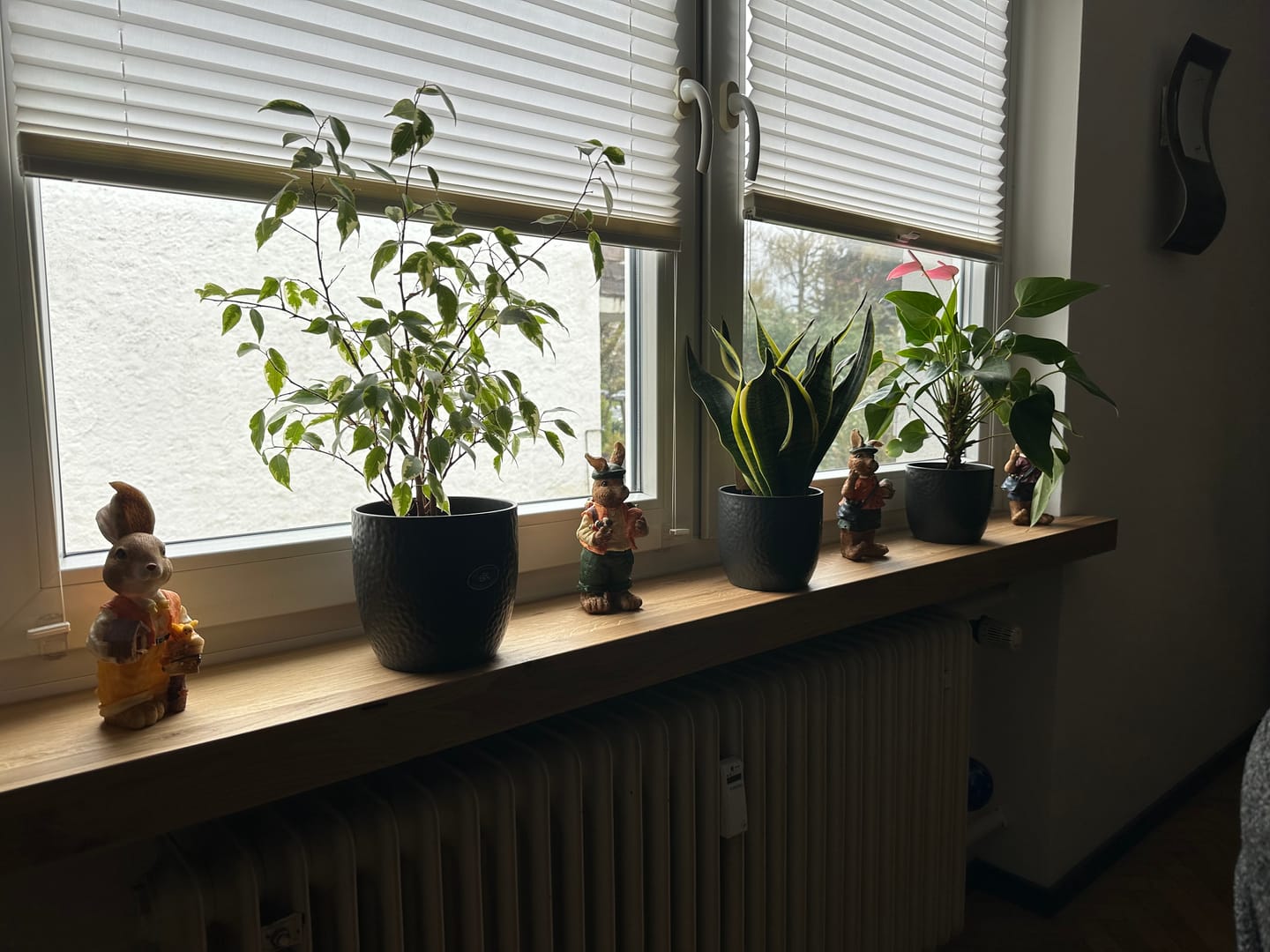 Customer photo review of Aufsatzfensterbank Eiche
