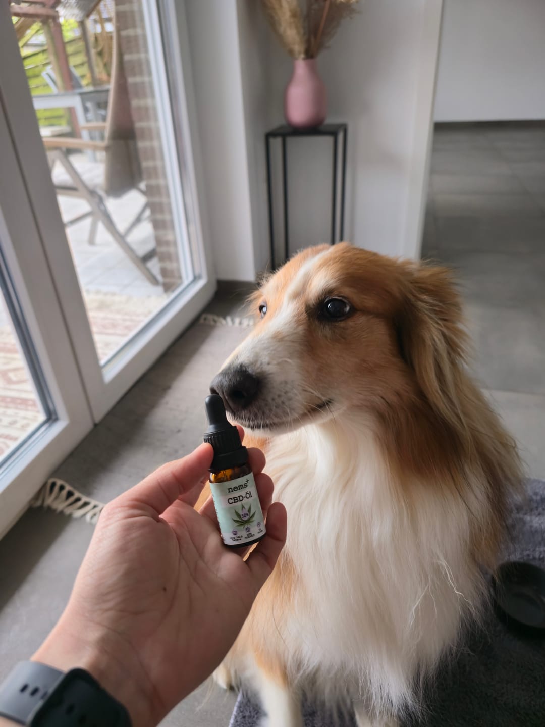 Customer photo review of 10% CBD Tropfen für Hunde