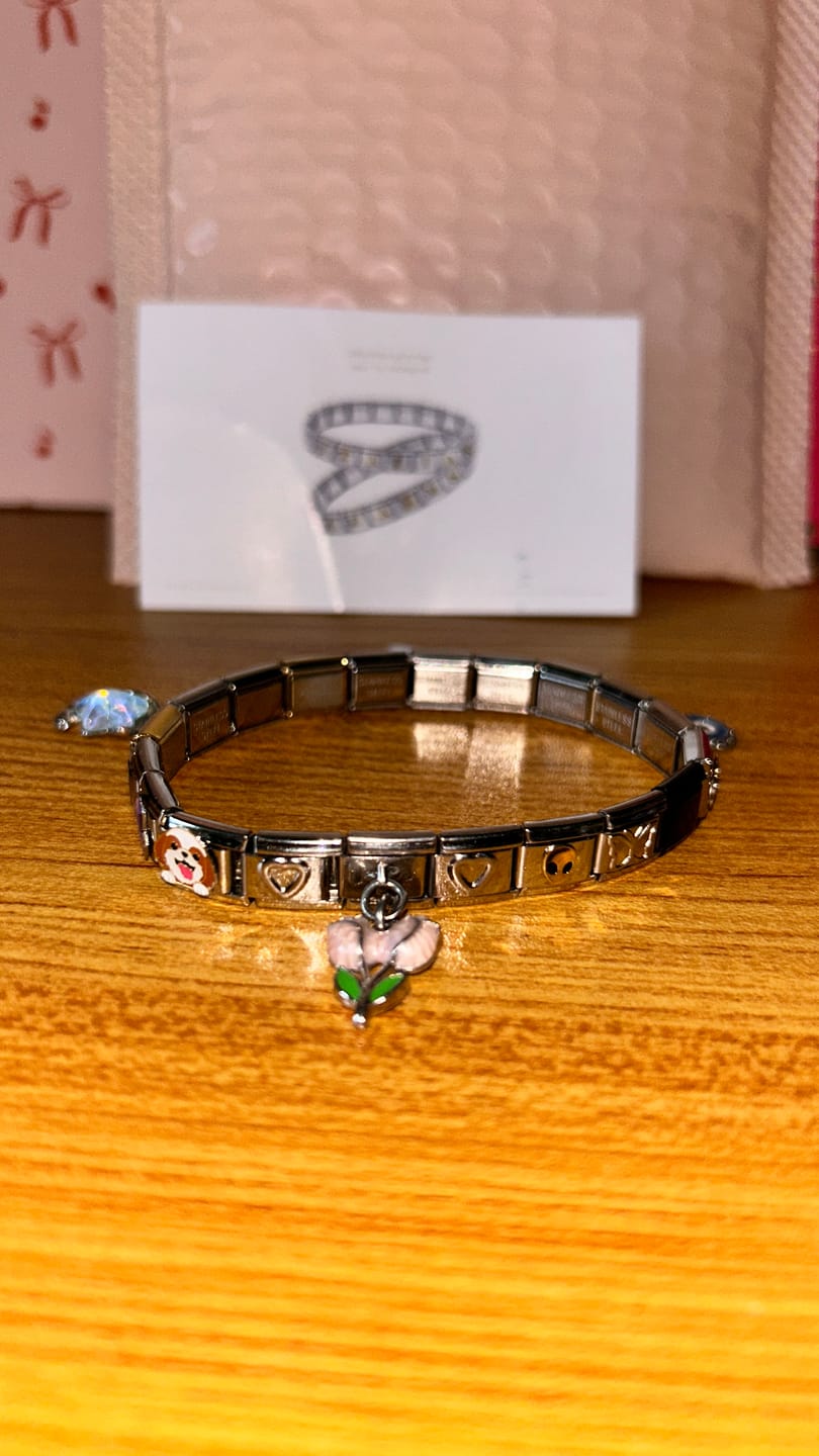 Customer photo review of Charm Perro Shih Tzu