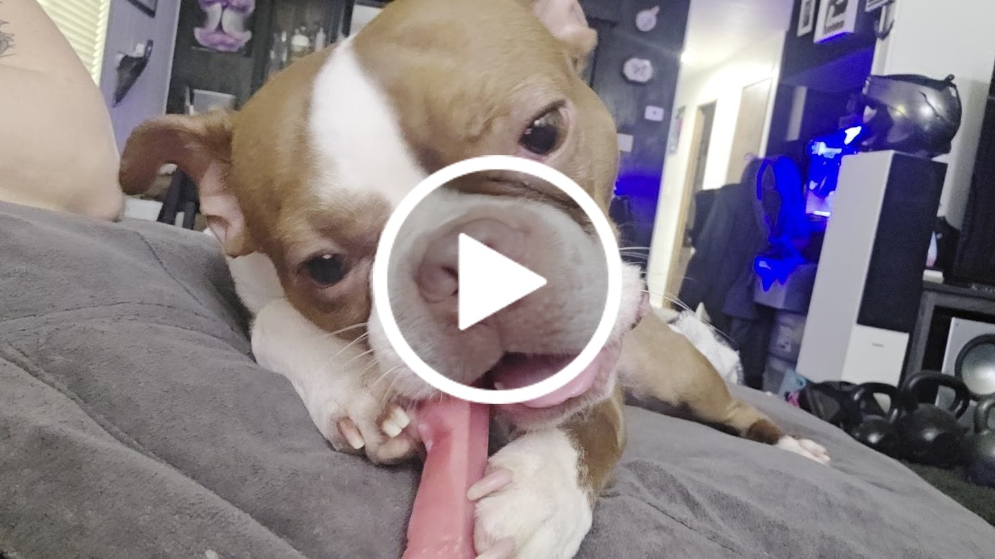 Customer video review of Strawberry Yak Chews