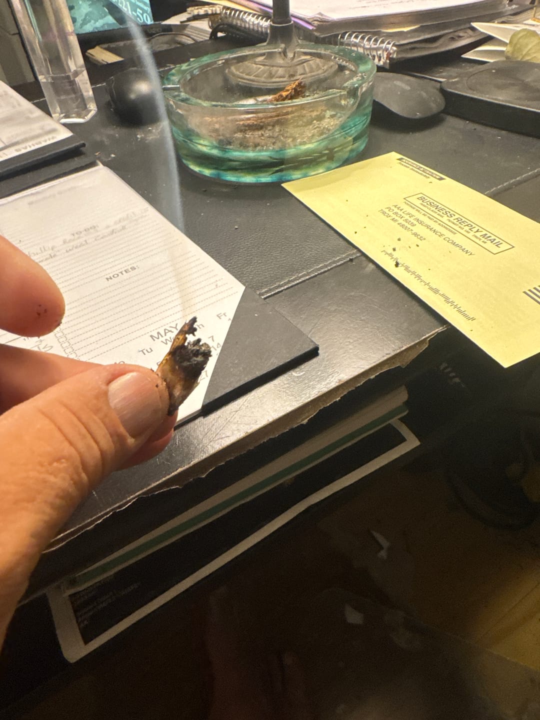 Customer photo review of Blueberry Muffins - Bulk - Indica